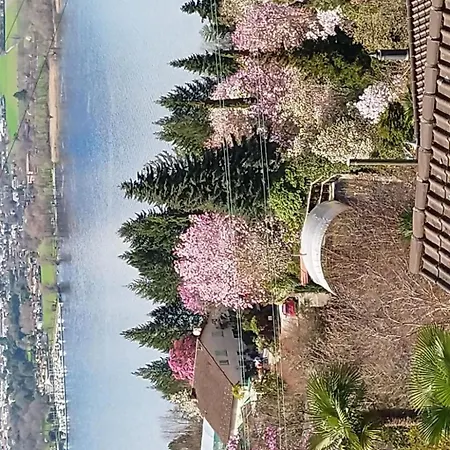 Casa Barbara By Interhome * Piazzogna