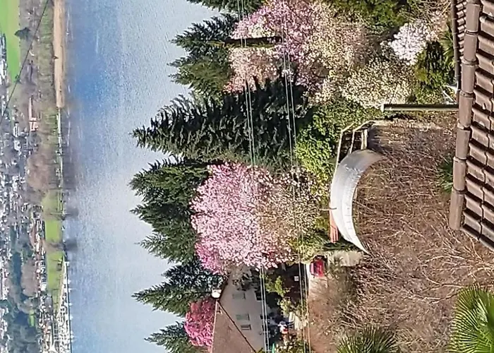 Casa Barbara By Interhome * Piazzogna